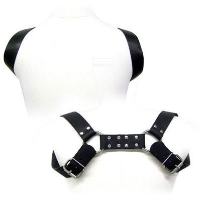 Arnes Holster
