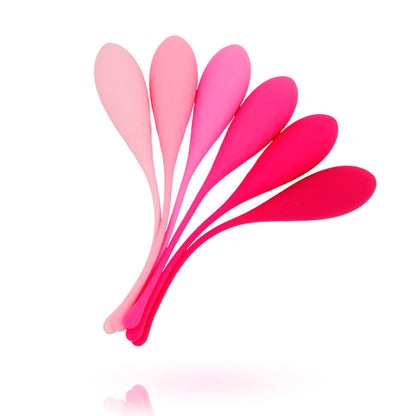 Entrenador Suelo Pelvico