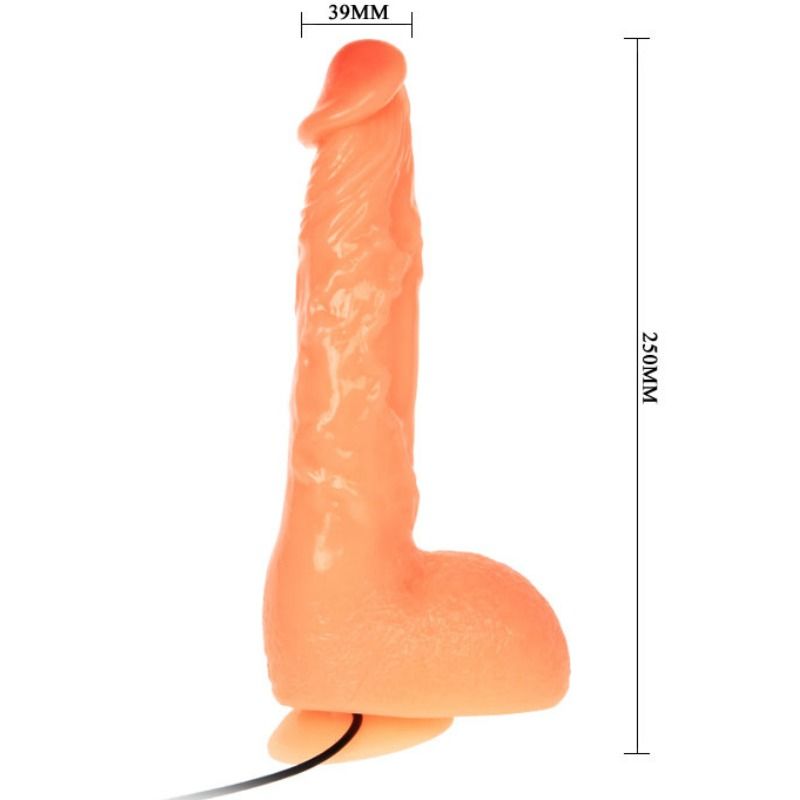 Penis
