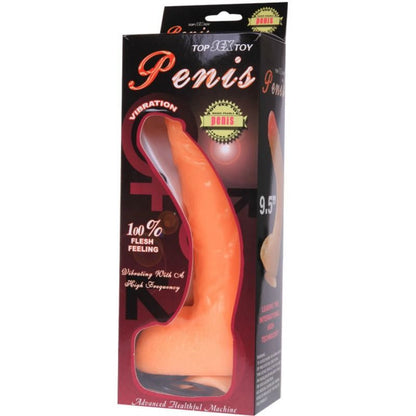 Penis