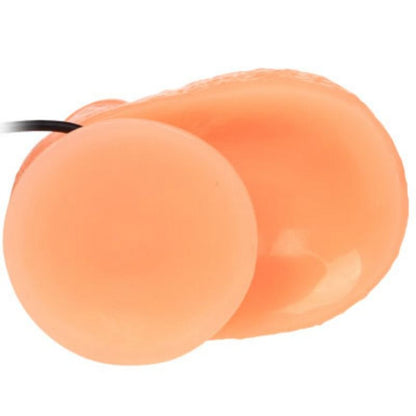 Penis