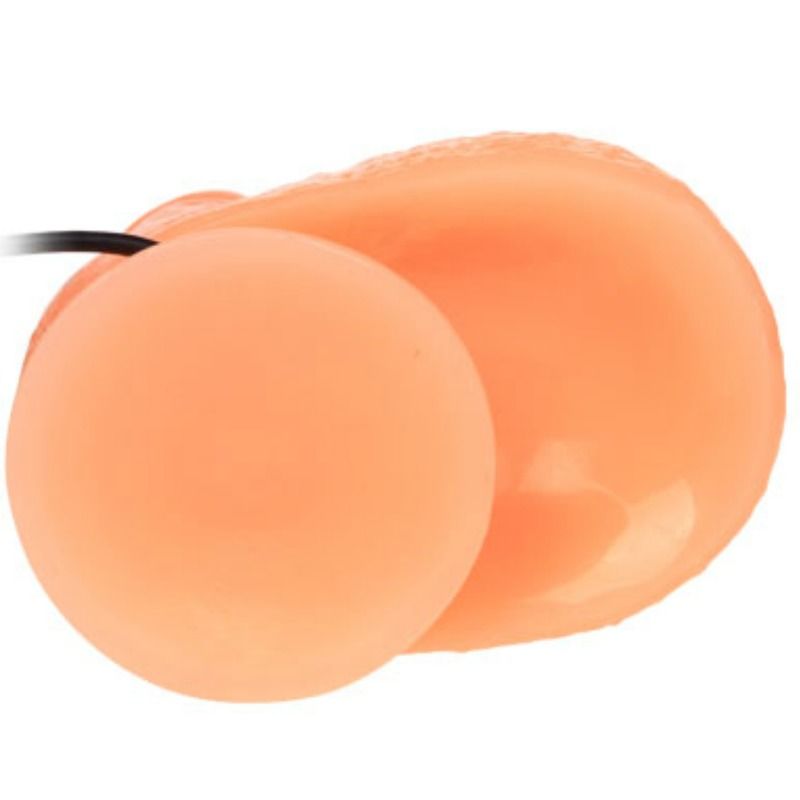 Penis