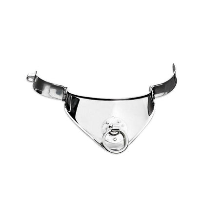 Collar Restriccion Con Anilla Y Candado 12.5 Cm
