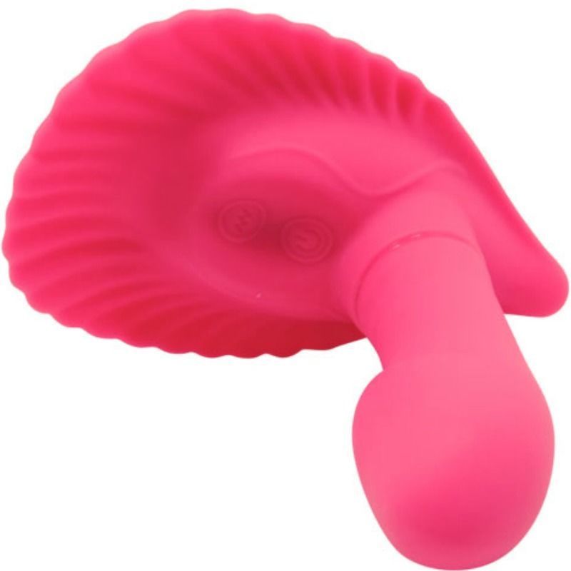 Fancy Clamshell