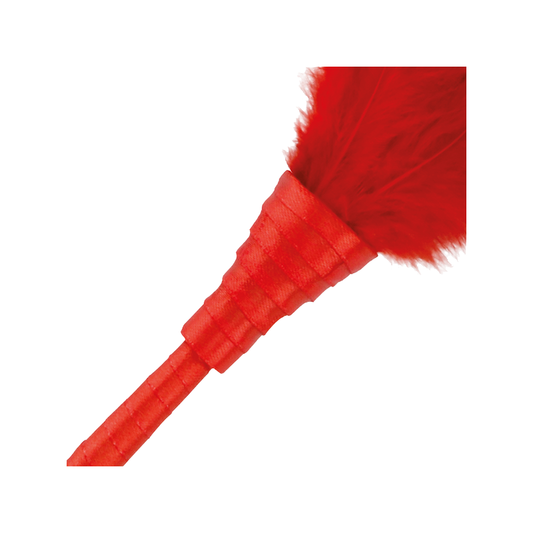 Fusta Pluma Estimuladora