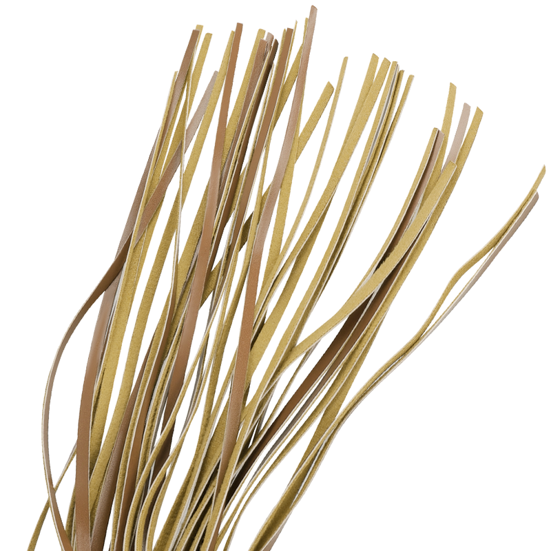 Látigo de Cuero Vegano