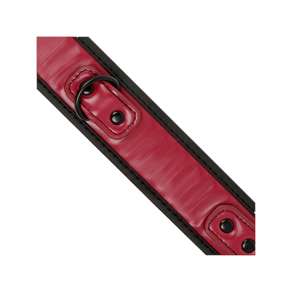 Collar Con Cadena Con Forro De Neopreno