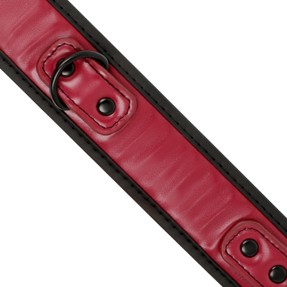 Collar Con Cadena Con Forro De Neopreno