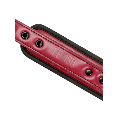 Collar Con Cadena Con Forro De Neopreno