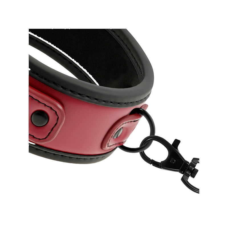 Collar Con Cadena Con Forro De Neopreno